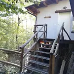 Il Canto Del Bosco * Netro