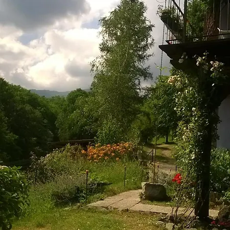 Il Canto Del Bosco *