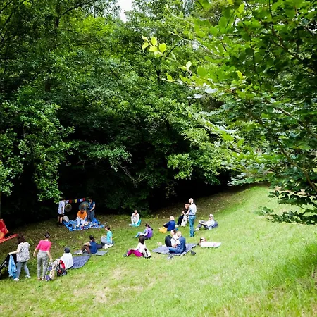 Il Canto Del Bosco *