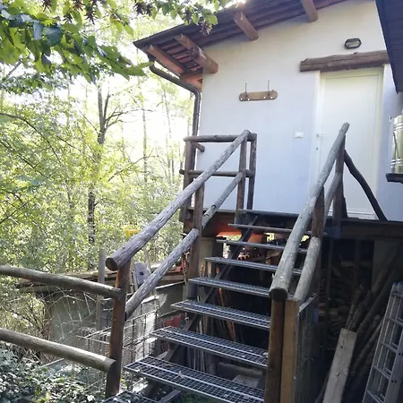 Il Canto Del Bosco * Netro