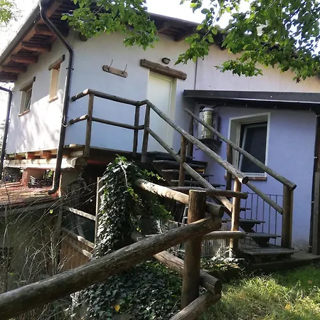 Il Canto Del Bosco * Netro