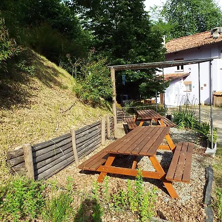 Il Canto Del Bosco * Netro