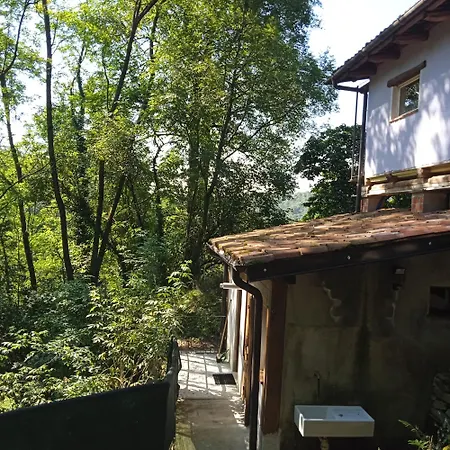 Il Canto Del Bosco *