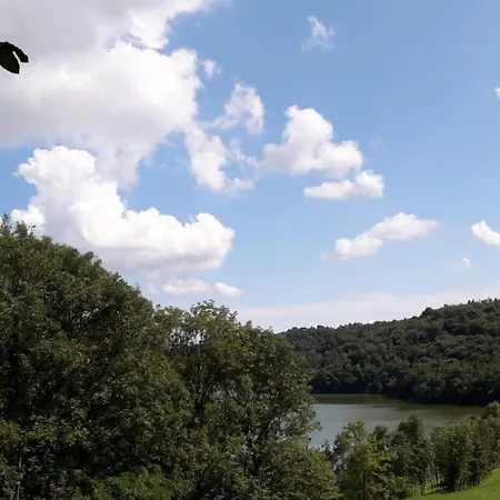 Il Canto Del Bosco * Netro