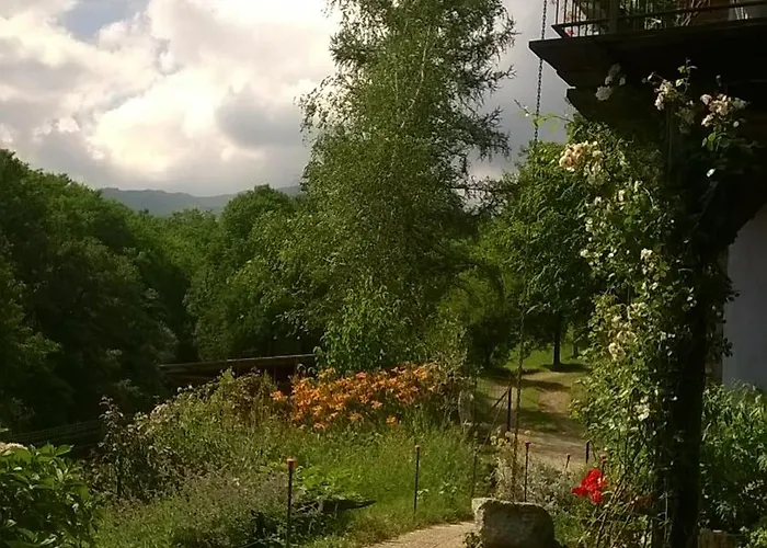 Il Canto Del Bosco *