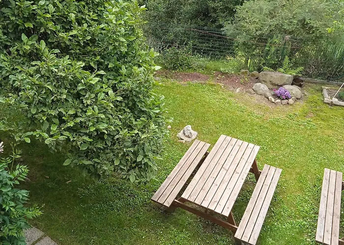 Il Canto Del Bosco