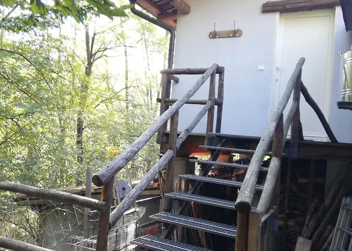 Il Canto Del Bosco * Netro