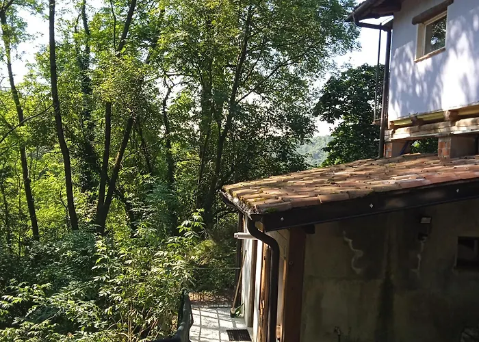 Il Canto Del Bosco *