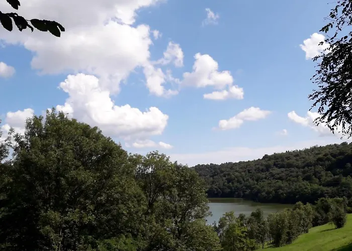 Il Canto Del Bosco * Netro